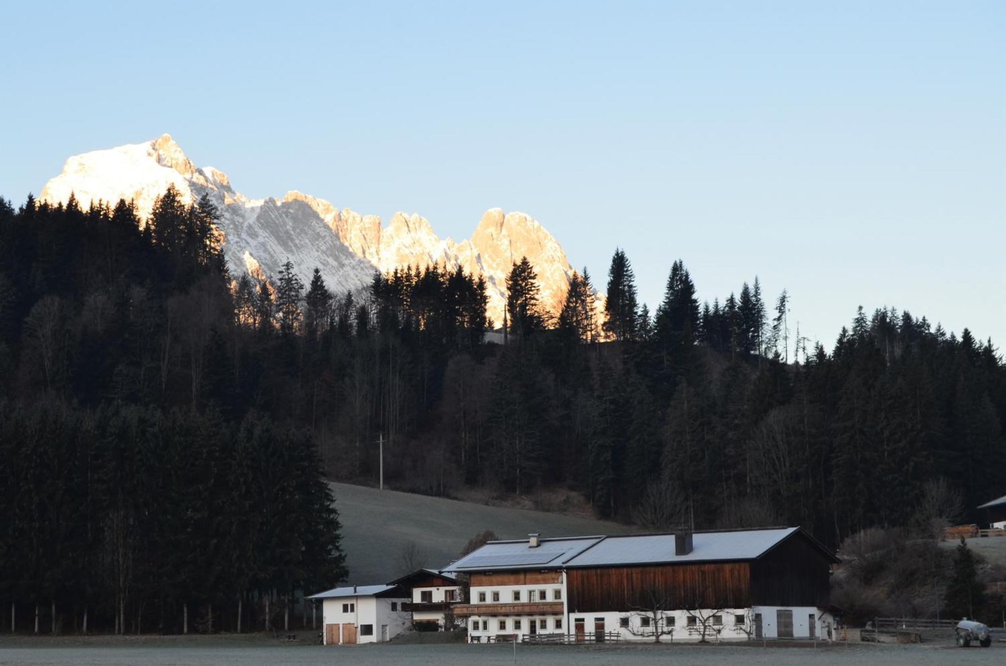 Отель Haus Treffer Бухен Экстерьер фото